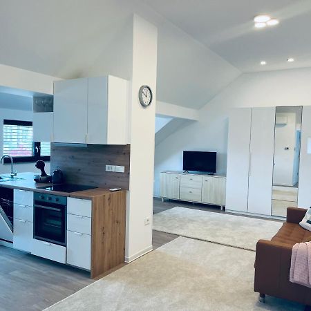 לובליאנה Villa Kovaceva 15, App 2, Free Parking מראה חיצוני תמונה