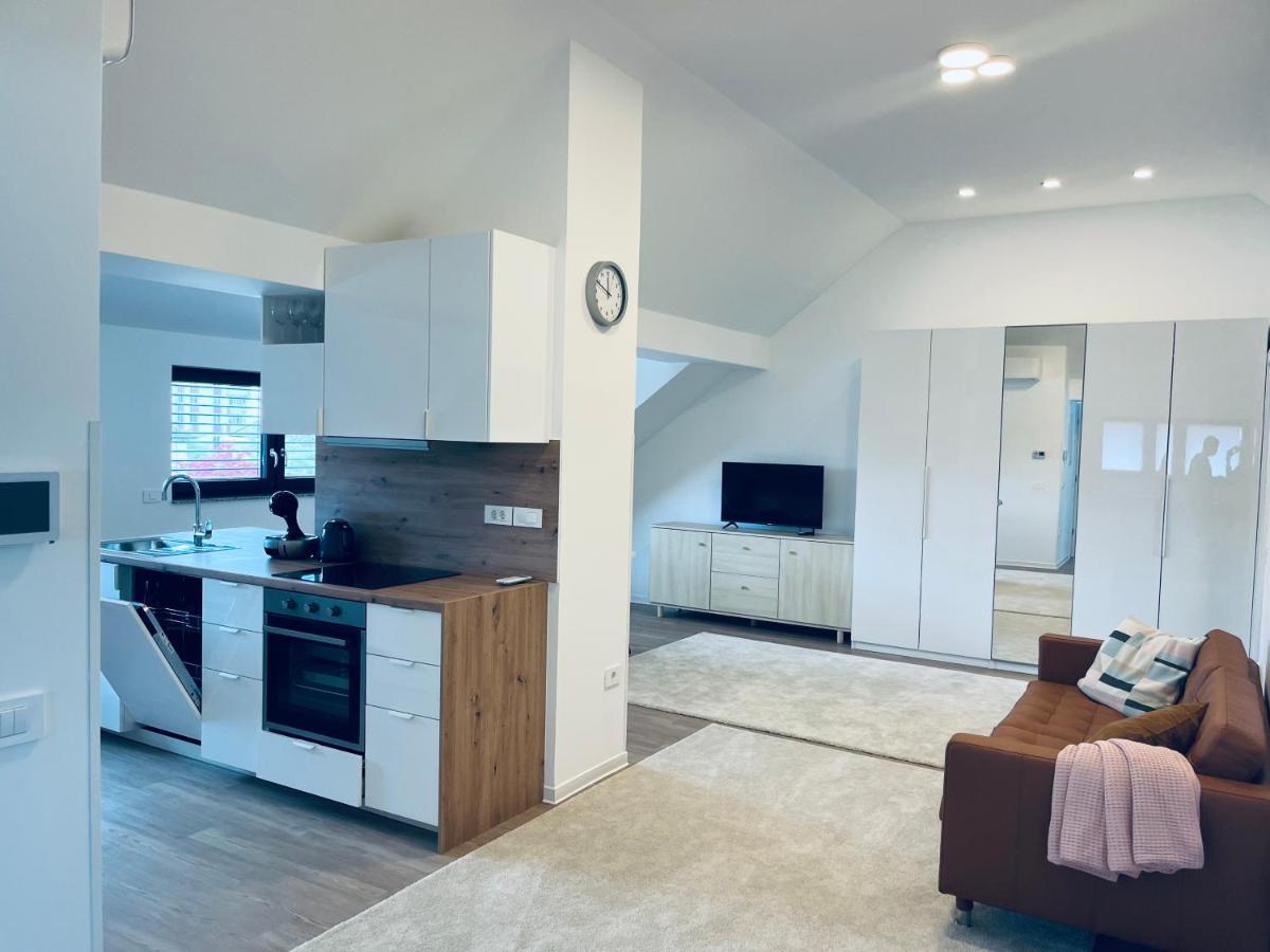 לובליאנה Villa Kovaceva 15, App 2, Free Parking מראה חיצוני תמונה